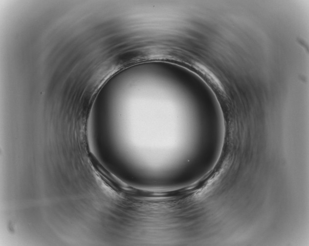 X0000094420801200711081135