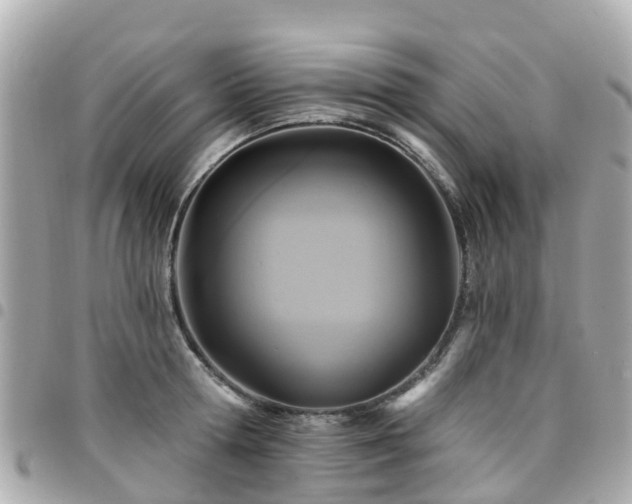X0000094420802200711081135
