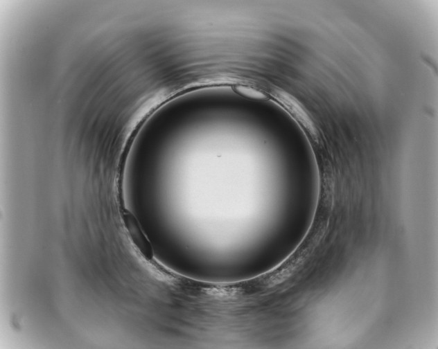 X0000094420805200711081135
