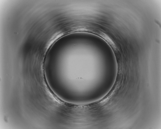 X0000094420806200711081135