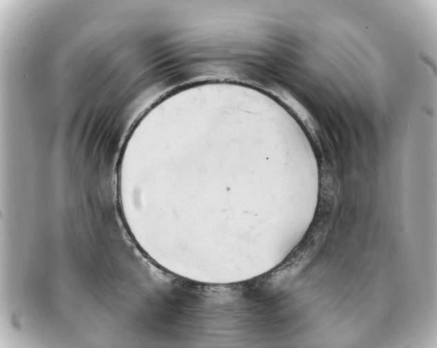 X0000094420807200711081135