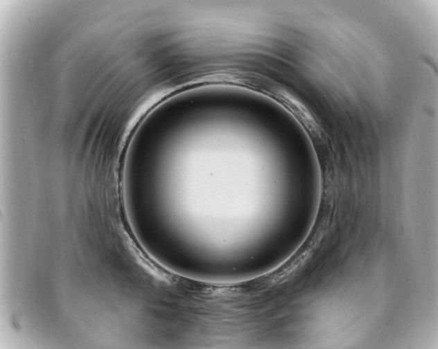 X0000094420808200711081135