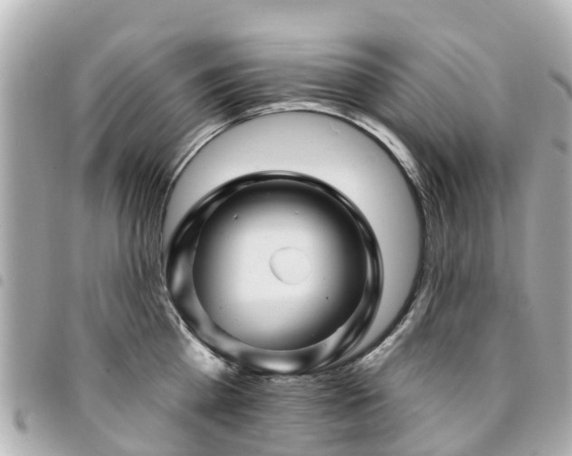 X0000094420809200711081135