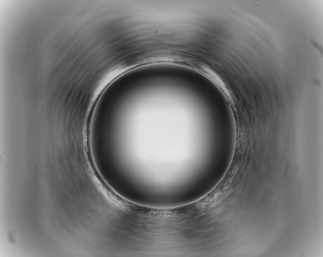 X0000094420811200711081135