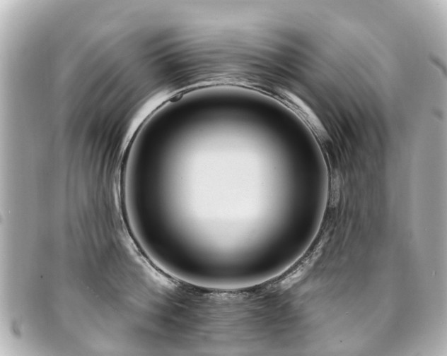 X0000094420812200711081135