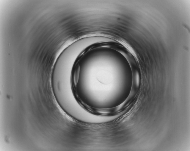 X0000094420813200711081135