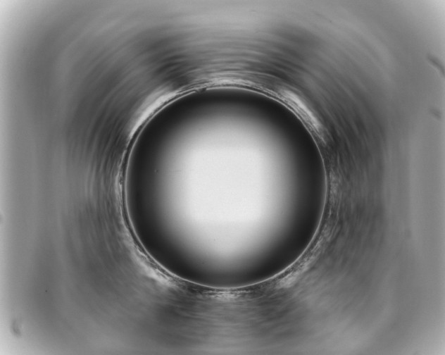 X0000094420814200711081135