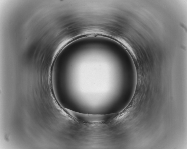 X0000094420815200711081135