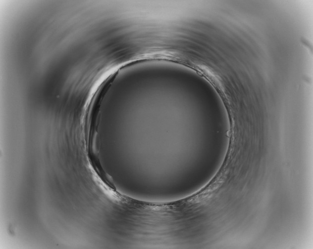 X0000094420816200711081135