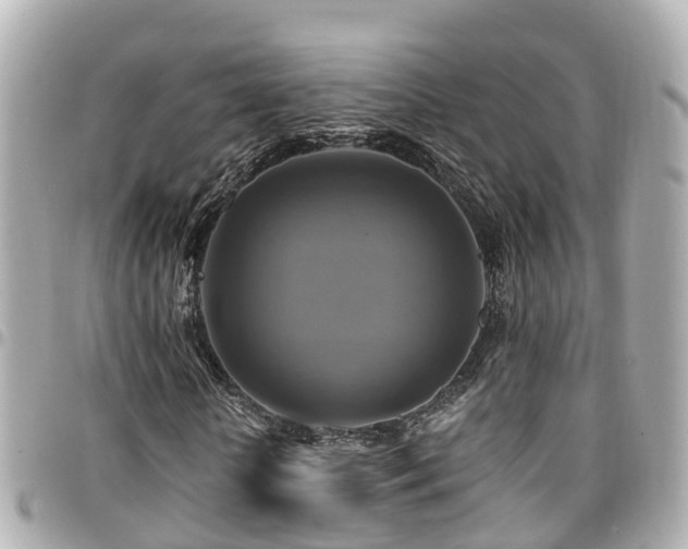 X0000094420818200711081135