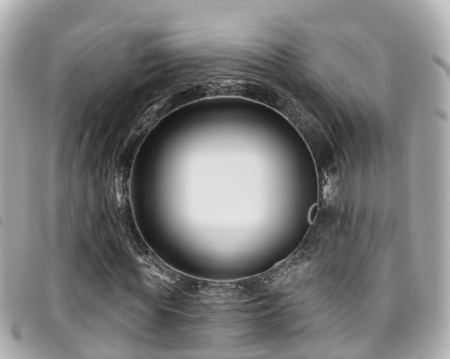 X0000094420819200711081135