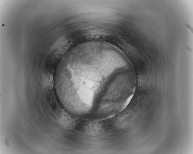 X0000094420820200711081135