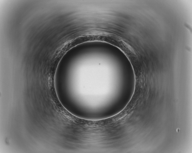 X0000094420821200711081135