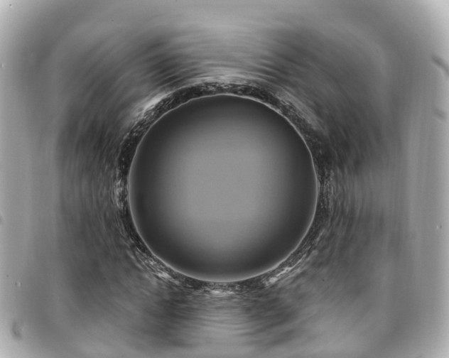 X0000094420822200711081135