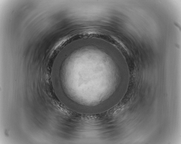 X0000094420823200711081135