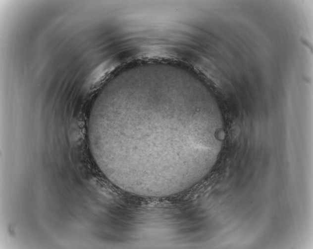 X0000094420824200711081135