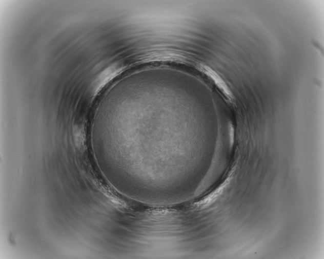 X0000094420826200711081135