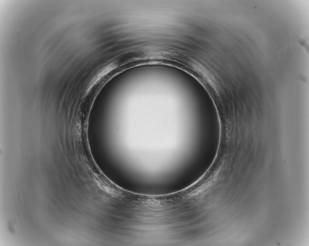 X0000094420827200711081135