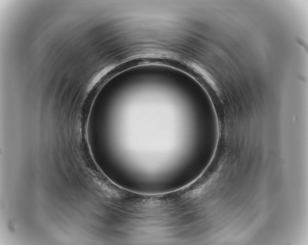 X0000094420829200711081135