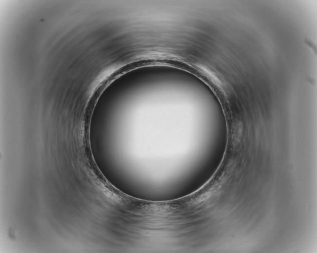 X0000094420831200711081135