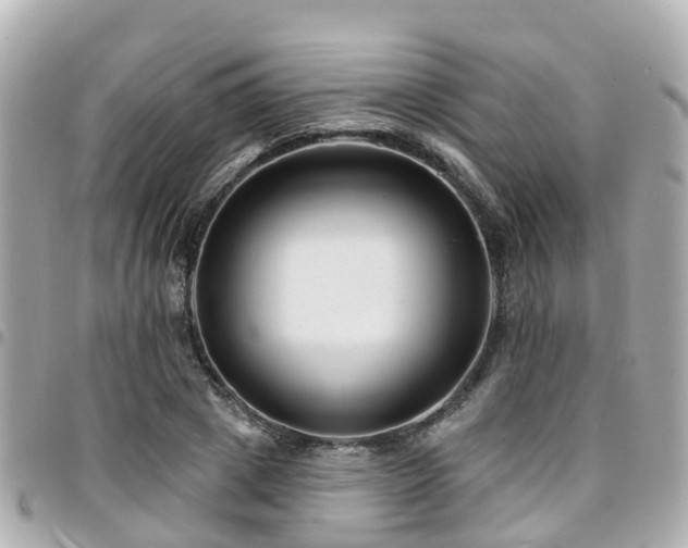 X0000094420833200711081135