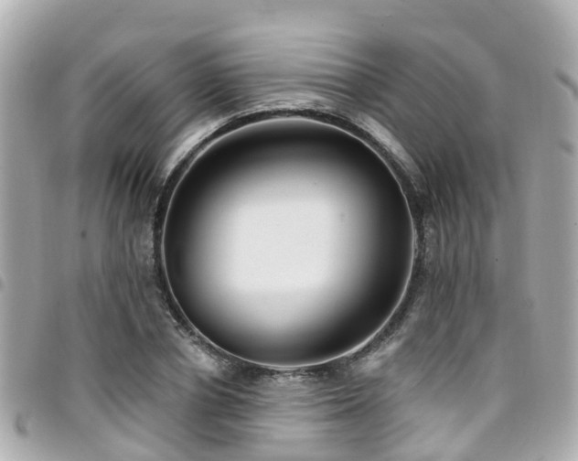 X0000094420834200711081135