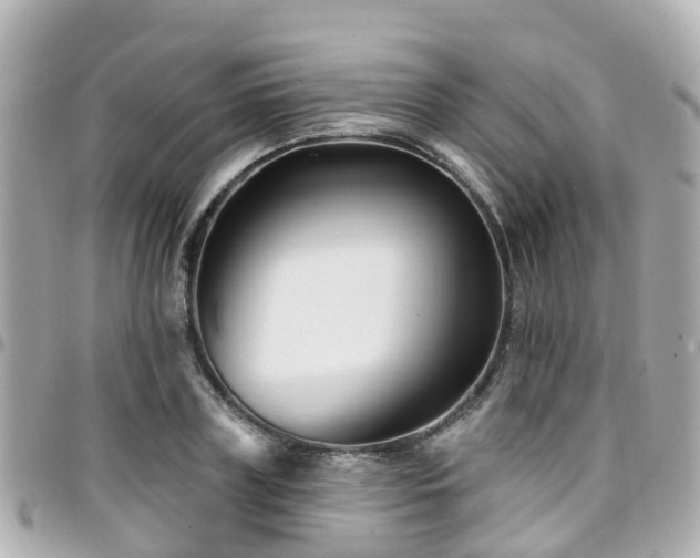 X0000094420835200711081135