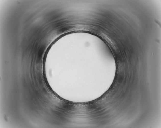 X0000094420836200711081135