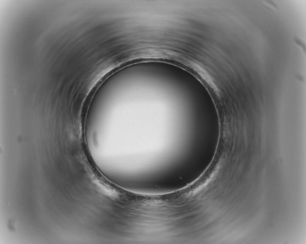 X0000094420837200711081135