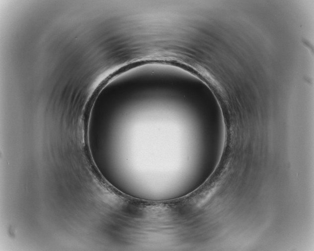 X0000094420838200711081135