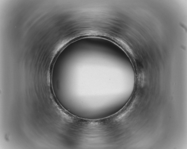 X0000094420839200711081135