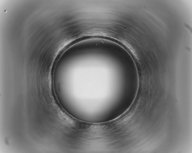 X0000094420840200711081135