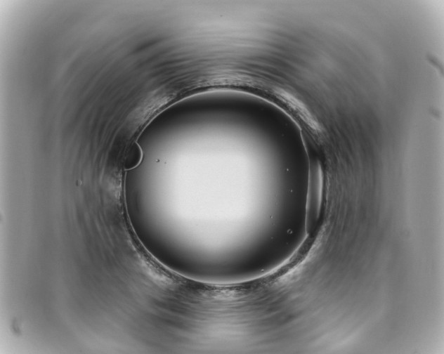 X0000094420841200711081135