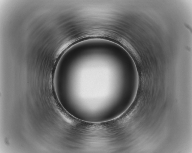 X0000094420842200711081135