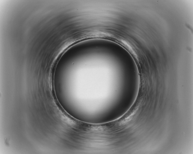 X0000094420843200711081135