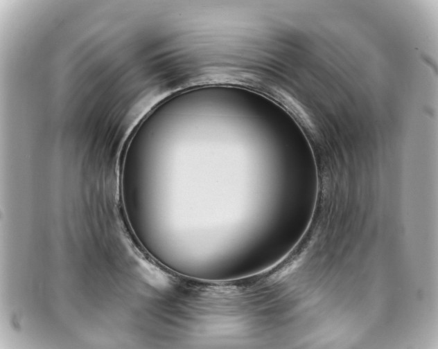 X0000094420844200711081135