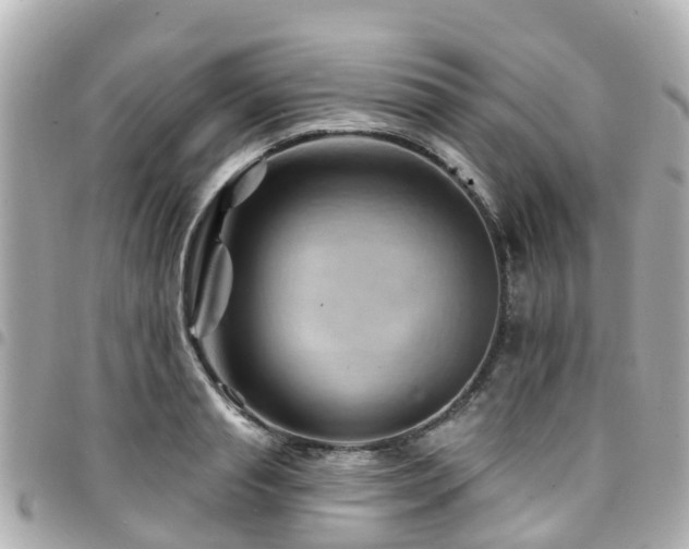 X0000094420845200711081135