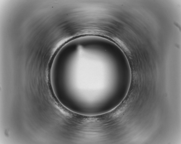 X0000094420846200711081135