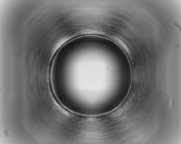 X0000094420847200711081135