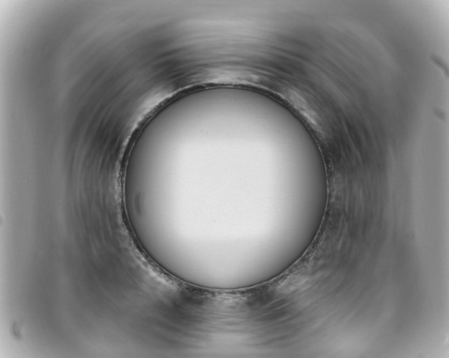 X0000094420848200711081135