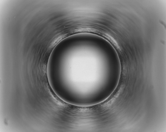 X0000094420849200711081135