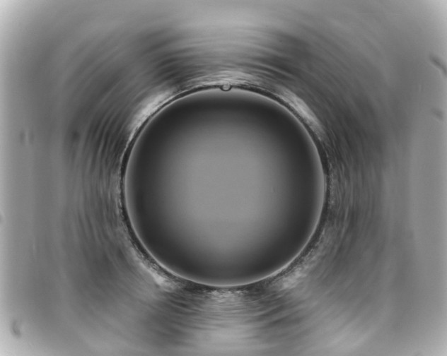 X0000094420850200711081135