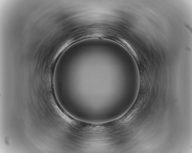 X0000094420851200711081135