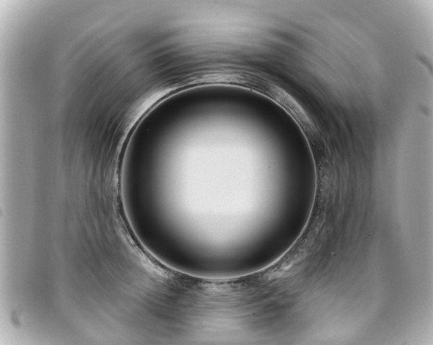 X0000094420852200711081135