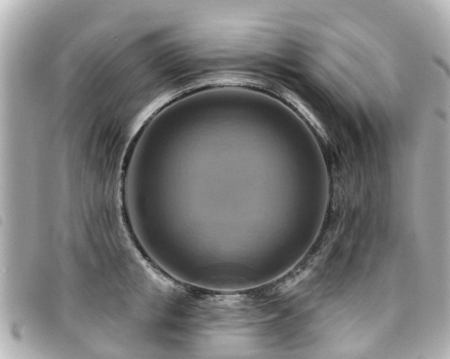 X0000094420853200711081135