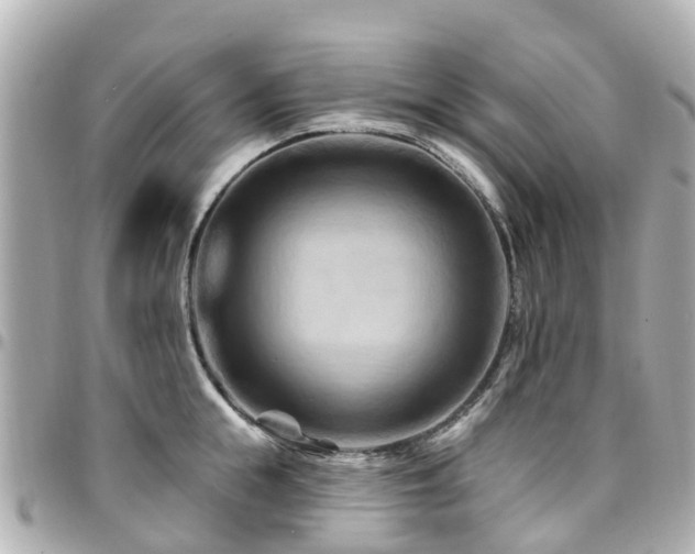 X0000094420855200711081135