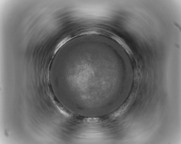 X0000094420858200711081135