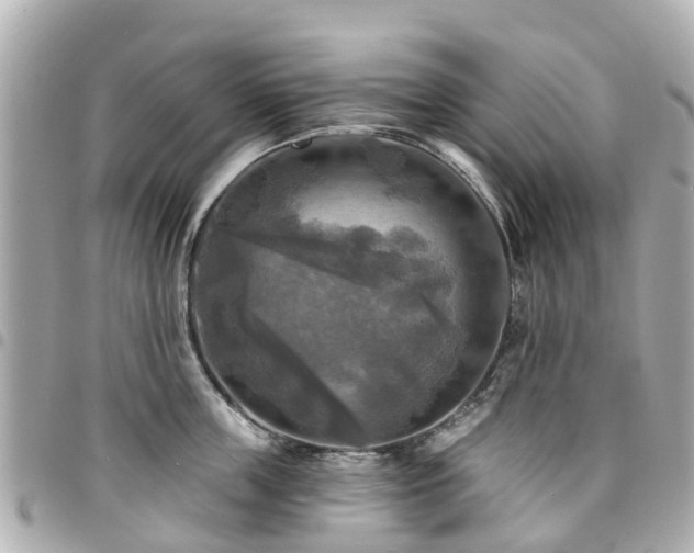 X0000094420859200711081135