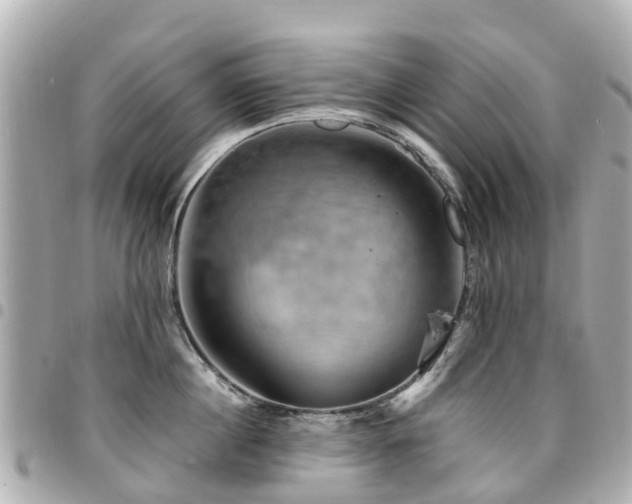 X0000094420860200711081135