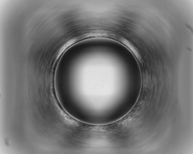 X0000094420861200711081135